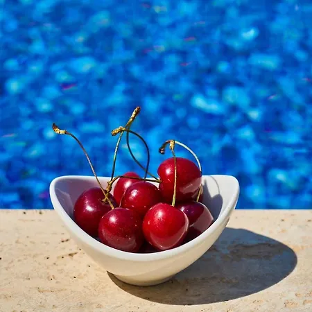 Apartmanhotel Goji Vegan 3*