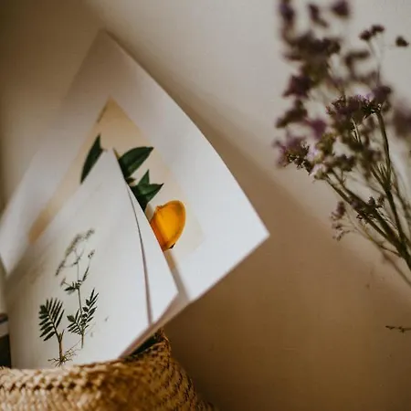 Apartmanhotel Goji Vegan Jaliszósz